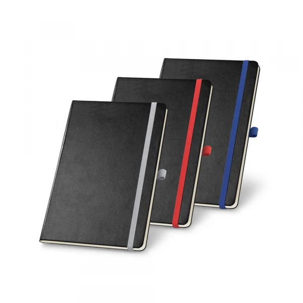 moleskine falcão